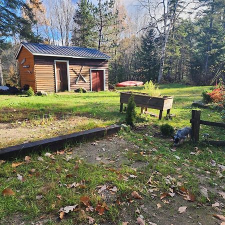 Chalet Nabu L'Ours - Riviere - Billard Saint-Alexis-des-Monts Exterior photo