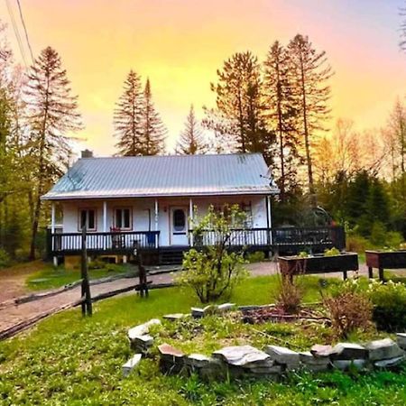 Chalet Nabu L'Ours - Riviere - Billard Saint-Alexis-des-Monts Exterior photo