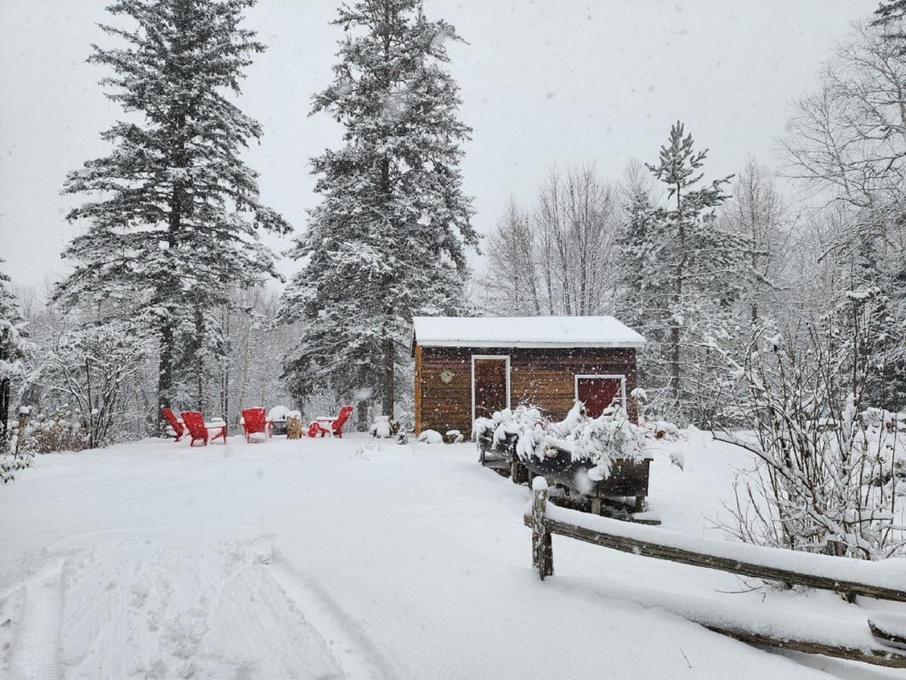 Chalet Nabu L'Ours - Riviere - Billard Saint-Alexis-des-Monts Exterior photo
